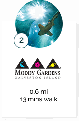 Moody gardens