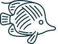 Fish Icon